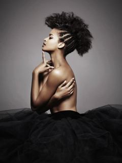 2017 Afro Hair Ideas